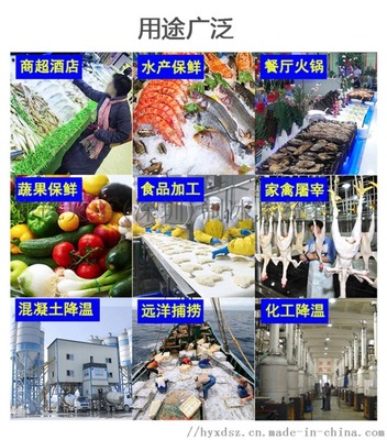 商用片冰機(jī)（500公斤/天） 餐飲業(yè)高效運(yùn)營(yíng)與品質(zhì)保障的制冰利器